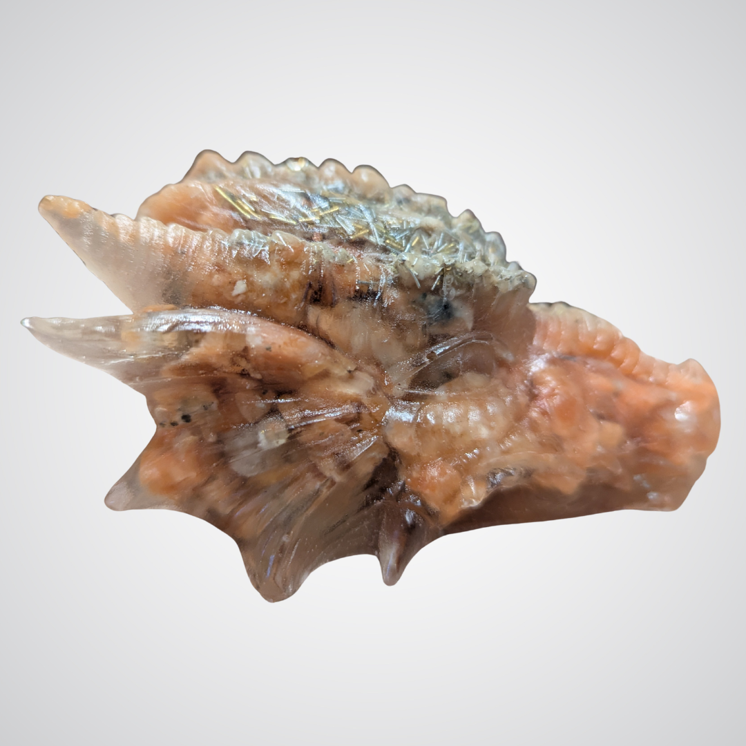 Solara: Sacral Guardian Dragon - Image 2